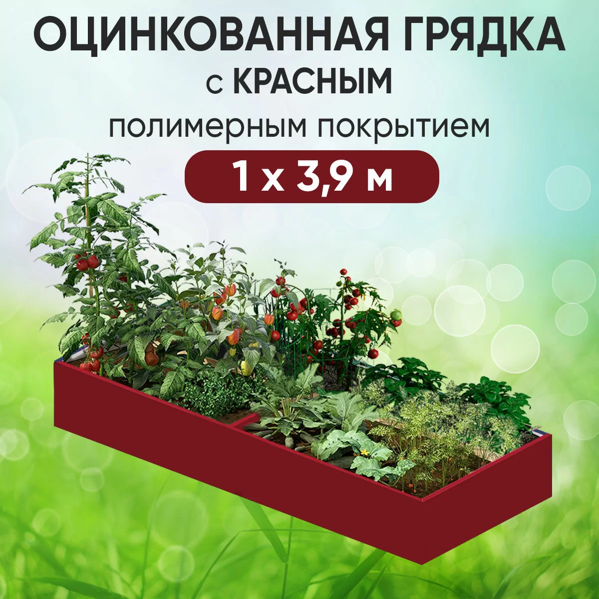 Грядка красная (1 х 3,9)